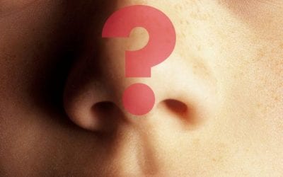 Being Nosey: How Does Smell Work and Other Interesting Facts