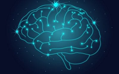 Facebook Funded a Mind Reading Machine that Works. Mixed Feelings Anyone?