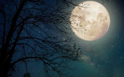 Sniffing Moondust: Upon This Handful of Regolith Our Survival Depends