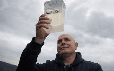 Move Over, Nessie, It is the Month of the Monster Eel!