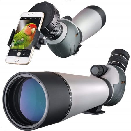 Astronomy Gosky 1.25 Inch Universal Telescope Camera T Adapter as Well as a 1.25 Extension Tube