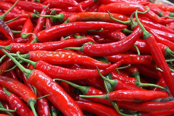 Capsaicin Miracle: 4 Chili Peppers a Week Help You Cheat Death
